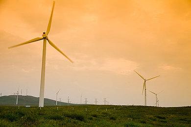 齐藤阳介与横尾太郎及冈部启一合作开发新项目